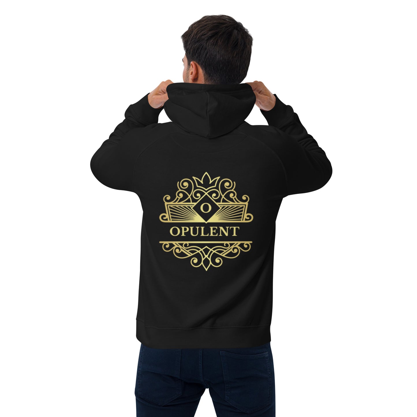 Opulent raglan hoodie