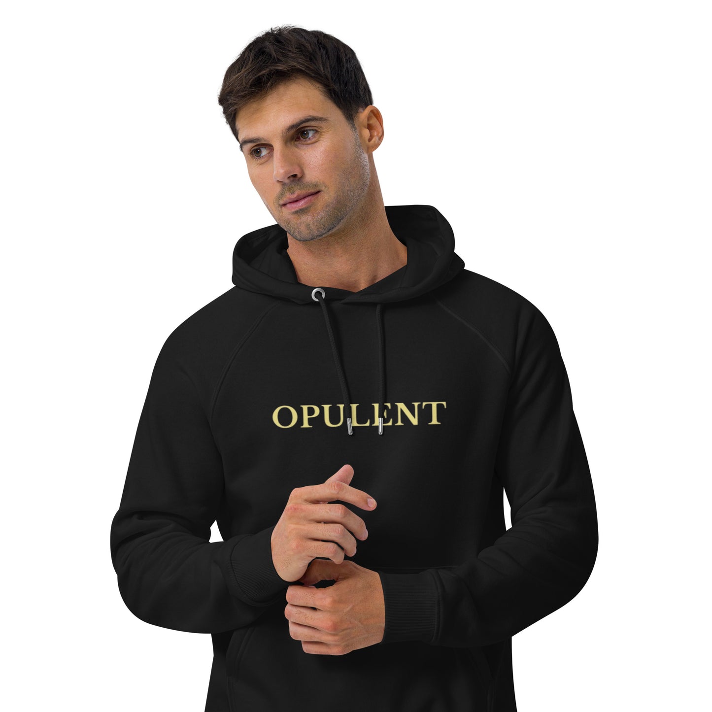 Opulent raglan hoodie