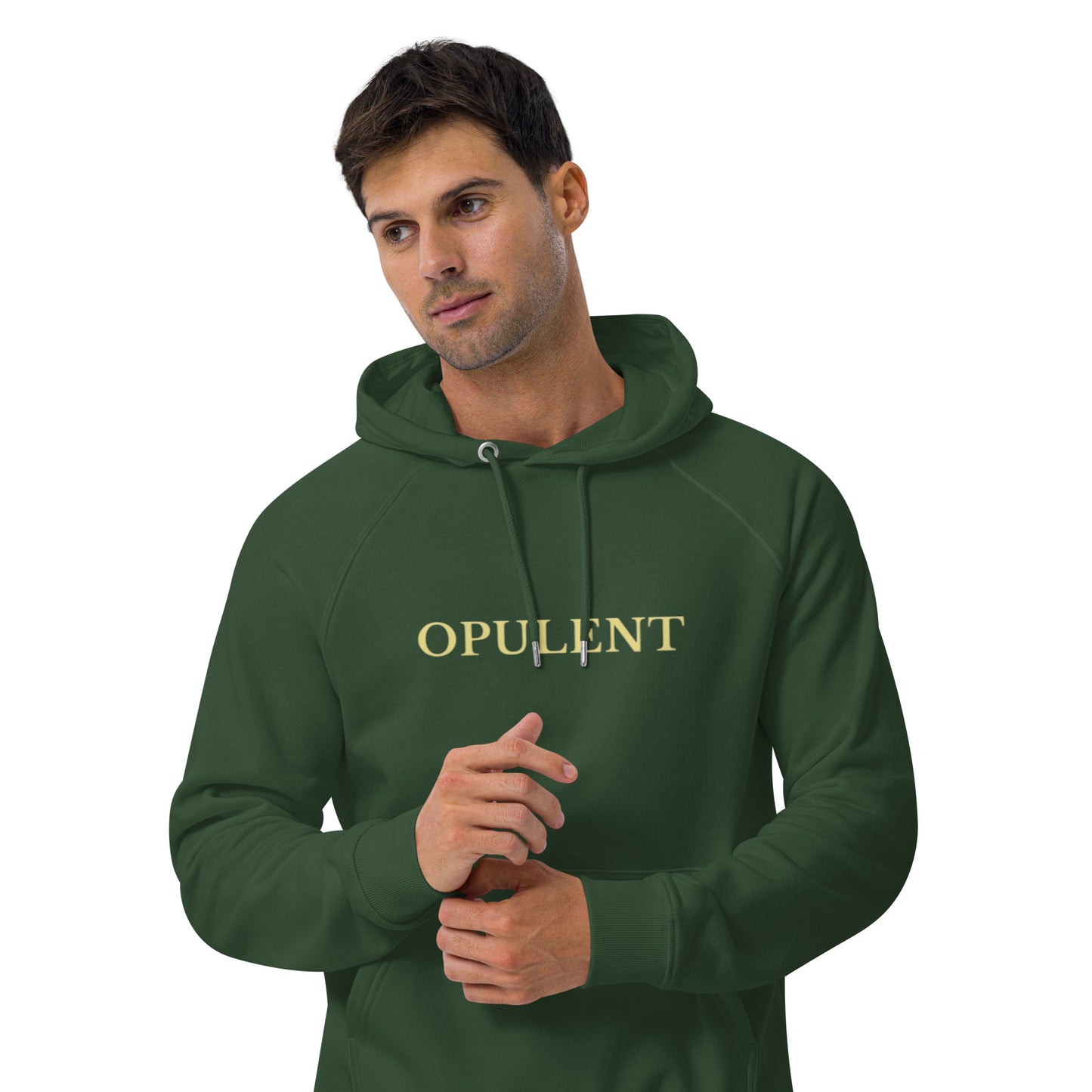 Opulent raglan hoodie