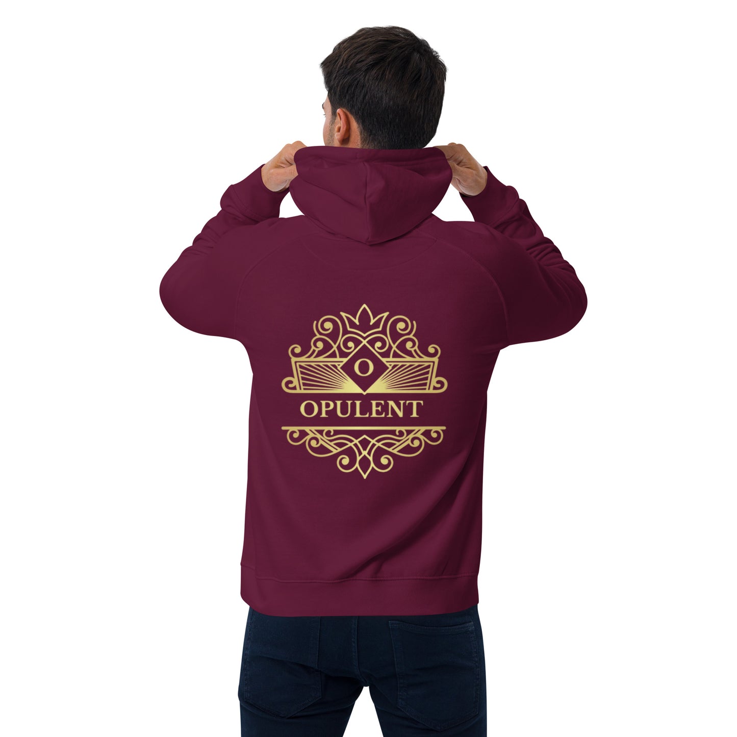 Opulent raglan hoodie