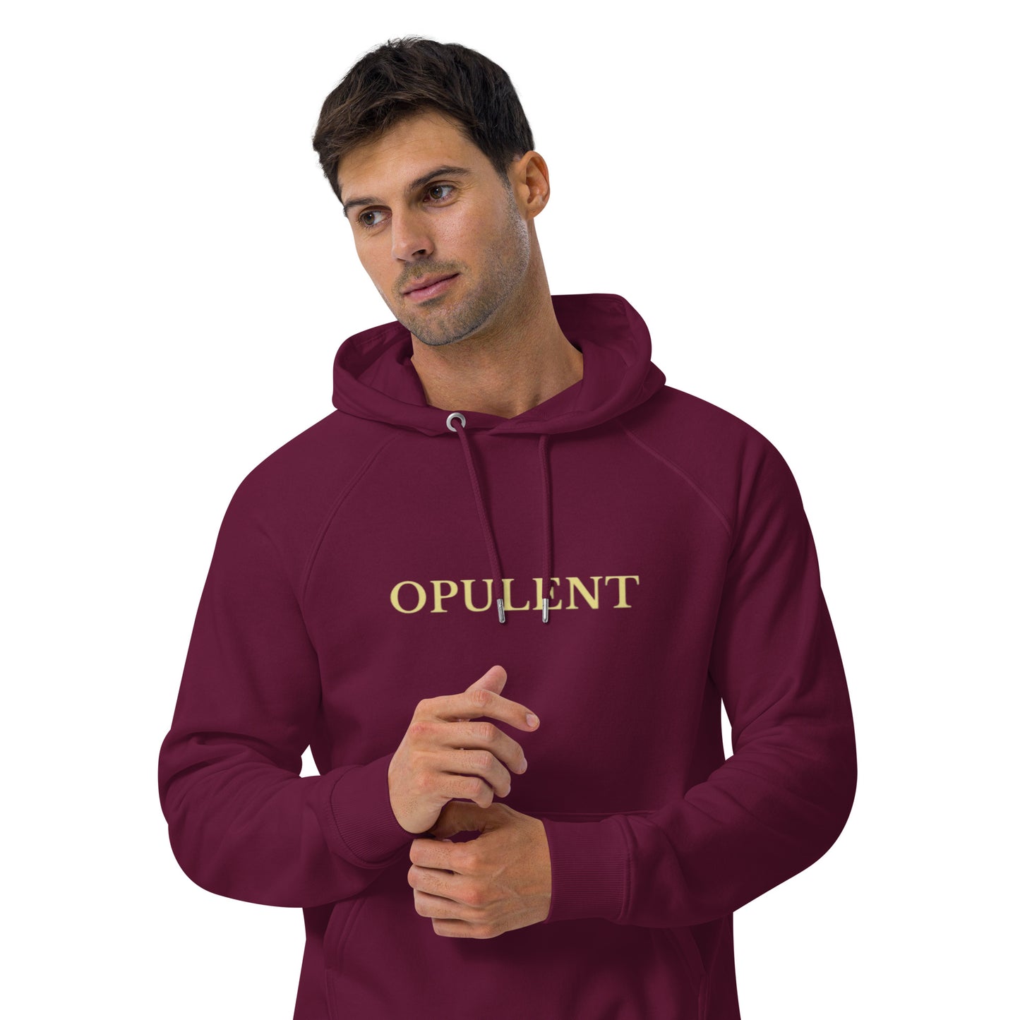 Opulent raglan hoodie