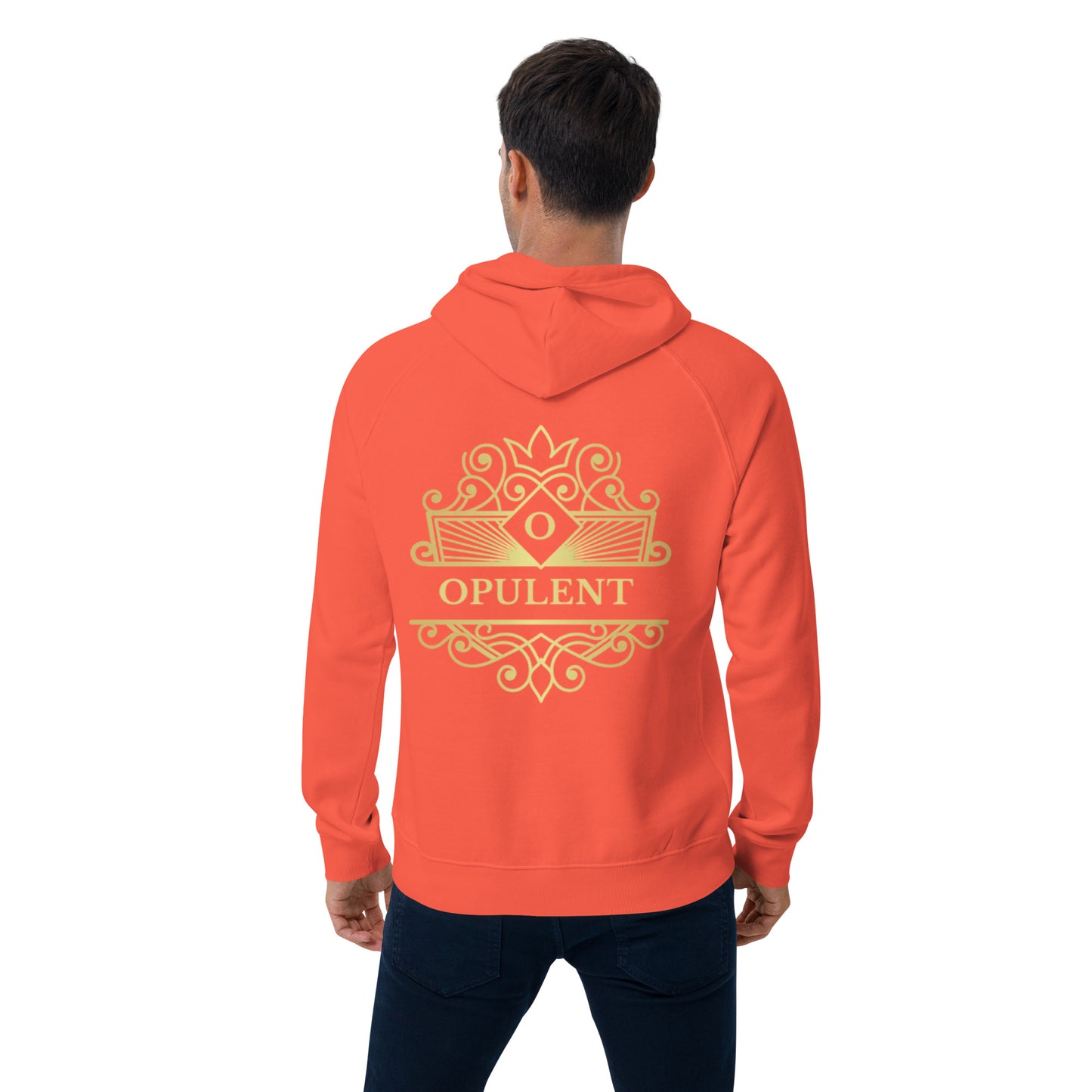 Opulent raglan hoodie