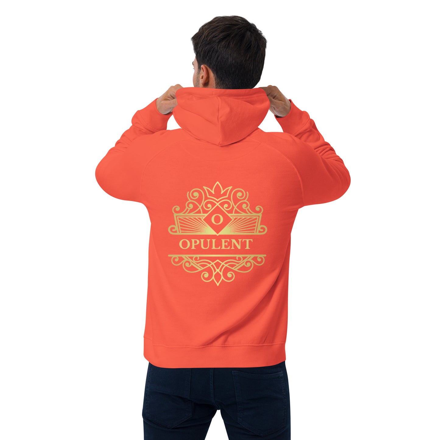 Opulent raglan hoodie