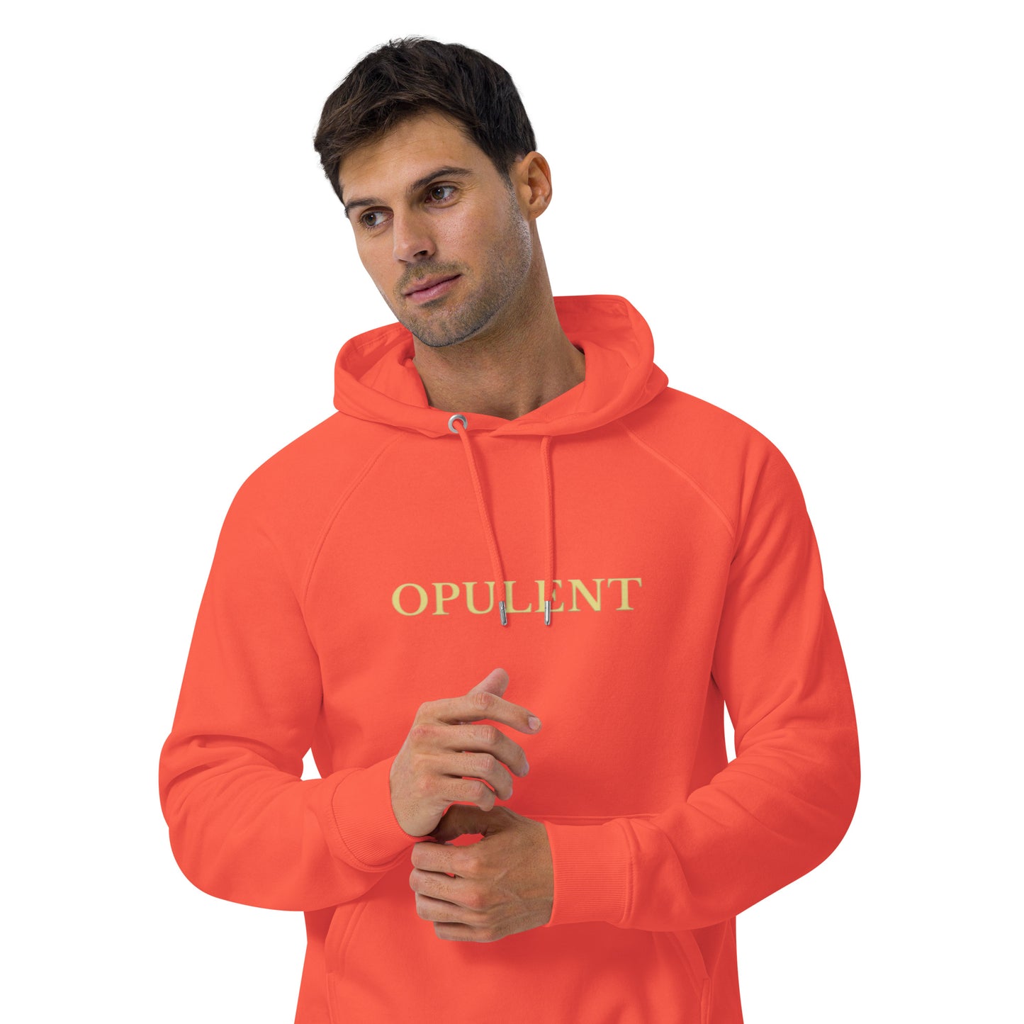 Opulent raglan hoodie