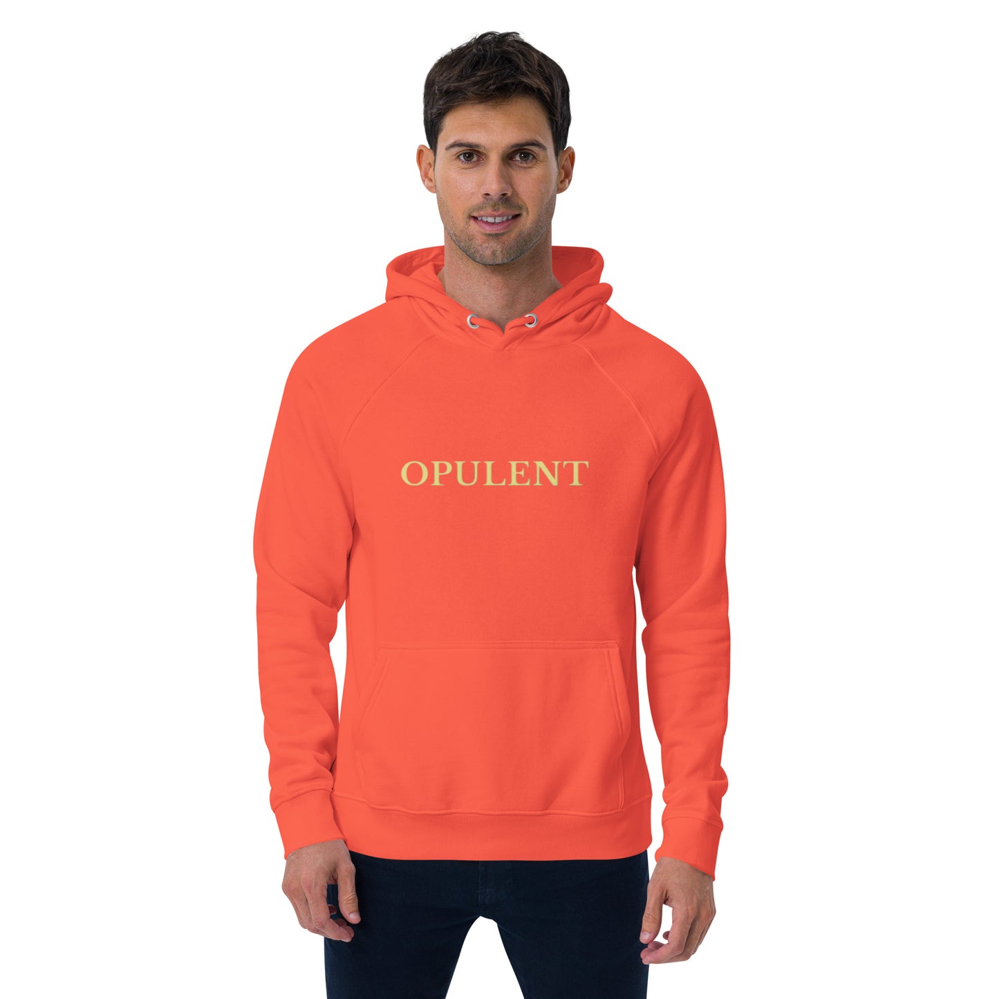 Opulent raglan hoodie