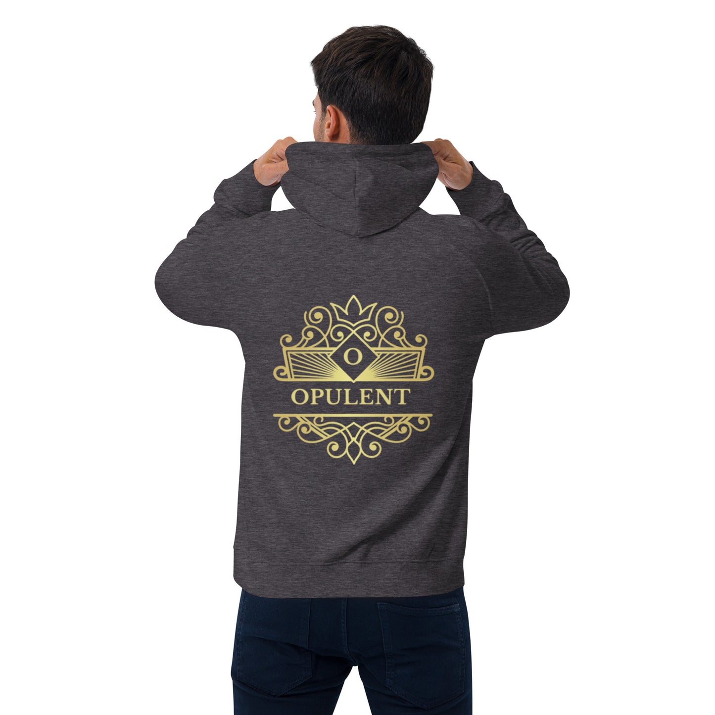 Opulent raglan hoodie