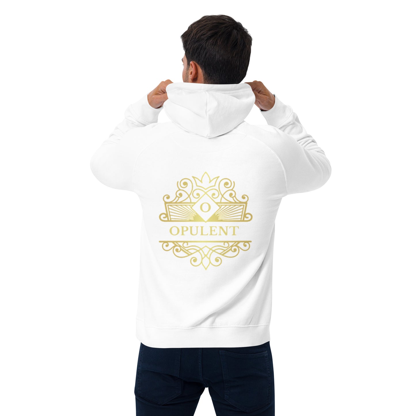 Opulent raglan hoodie