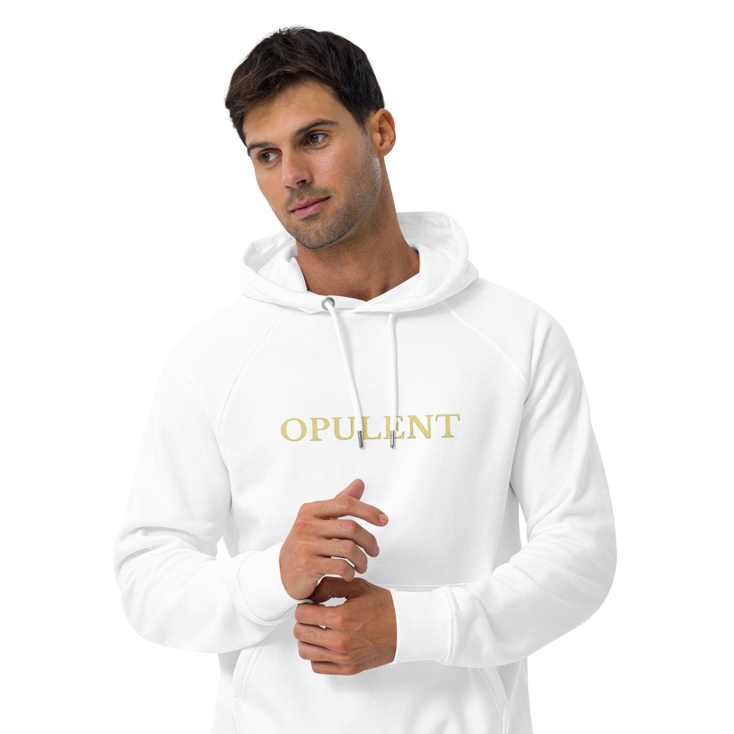 Opulent raglan hoodie